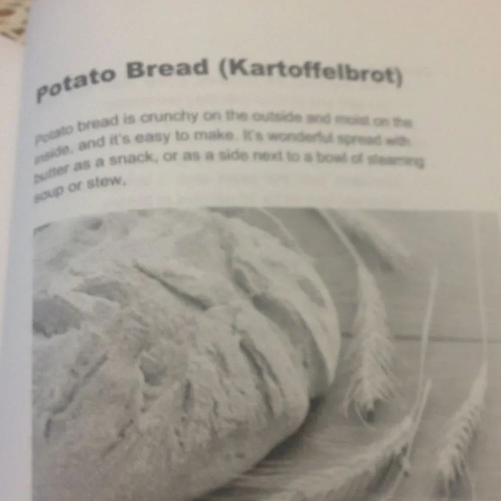 German Recipes Cookbook, A Taste of Germany